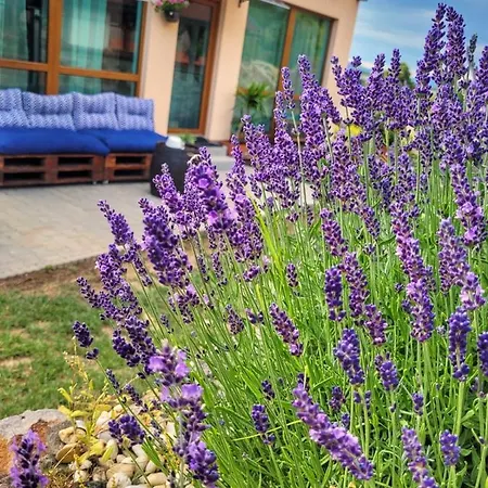 Lavanda Garden アパート *