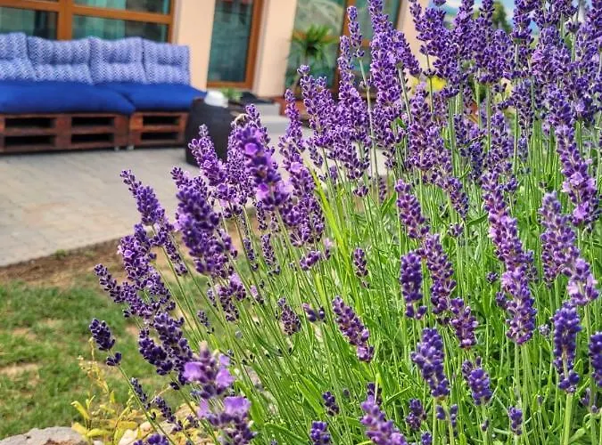 Lavanda Garden Lägenhet *